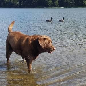 Meet your Posher, Judy